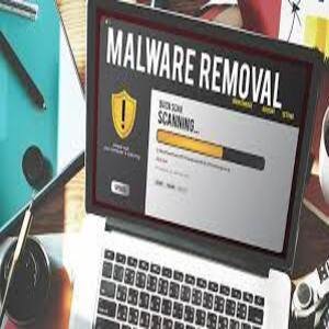 Wordpress Malware Removal Package Standard
