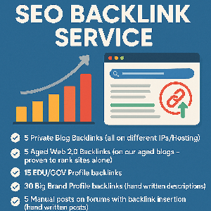 5 Private Blog + 5 Aged Web 2 + EDU and Big BRAND Backlinks
