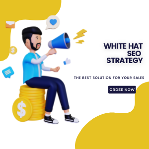 #1 White Hat SEO Package The PERFECT SEO Strategy - Image 2