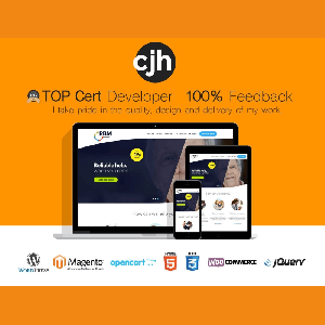 Build you a responsive Wordpress website that is search engine optimised