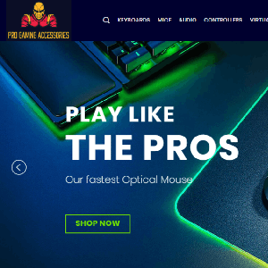 Gaming Wordpress Dropshipping Website Ready to make you $$$$$