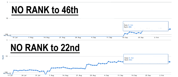 Google Ranking Results