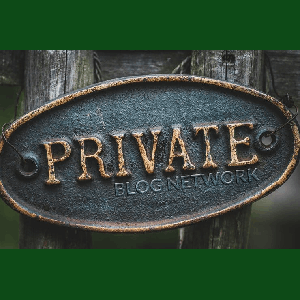 65 HOME PAGE PBN POSTS ON OUR PRIVATE SITES WITH HIGH TF