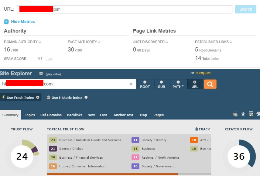Image shows the metrics of the PBNs for sale