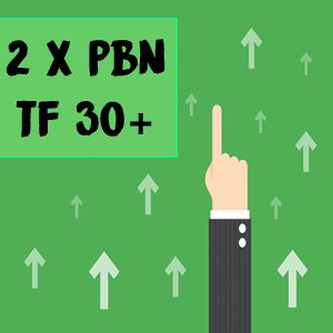 Two Very Powerful Trust Flow 30 Plus PBN Backlinks - Image 2