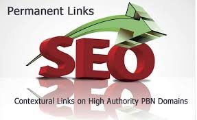 120 Pbn Setup With Blog Posts For Top Rankings - Image 2