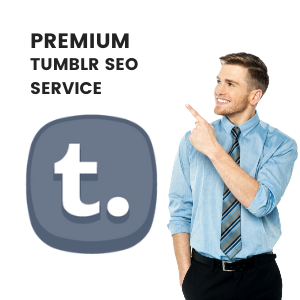 10 High PA 50+ Tumblr Backlinks Unique Content for $30 - Image 2
